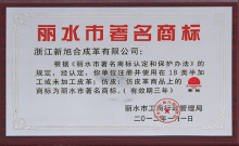 2012麗水市著名商標(biāo)